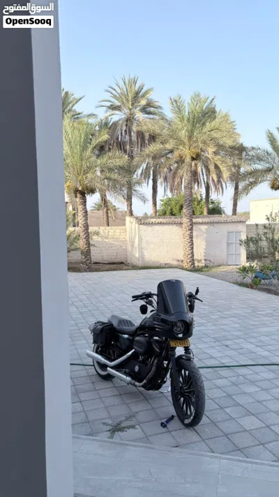 هارلي ديفيدسون Iron 883 4