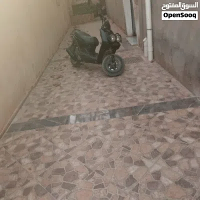 فيزبا عيون 2023 سعر شوي 2