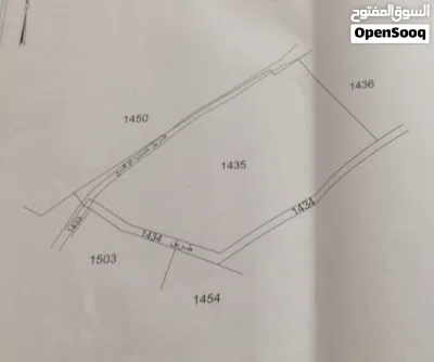 Prime Land for Sale in Al-Bennay, Aley – 9,910 m2 Investment Opportunity Scenic Views 3