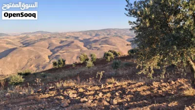 قطعة ارض للبيع 3