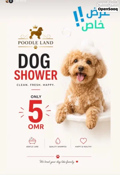 Grooming for cats and dogs 2