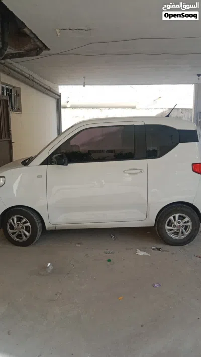 Wuling Other 3