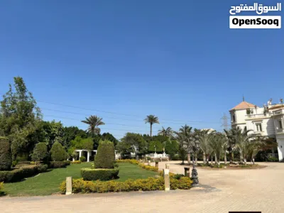قصر للبيع في المنصورية بمساحة كبيرة وتفاصيل مذهلة 4
