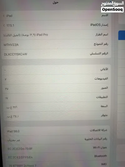 ايباد برو 256 2019 3