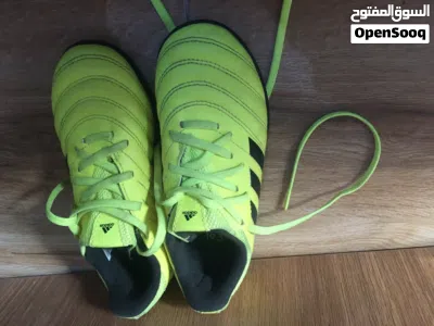 Adidas Shoes (original) 2