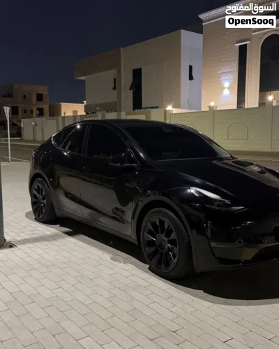Tesla Model Y Long Range 2