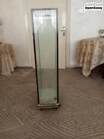 undefined 3
