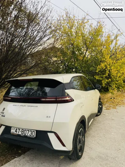 BYD Song L 3
