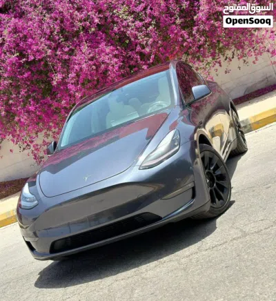 Tesla Model Y Performance 2