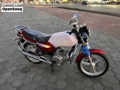 Haojin ARES HJ150 4