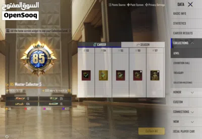 Account Pubg Collection 85.9 2
