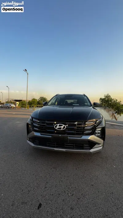 Hyundai Tucson SEL 2