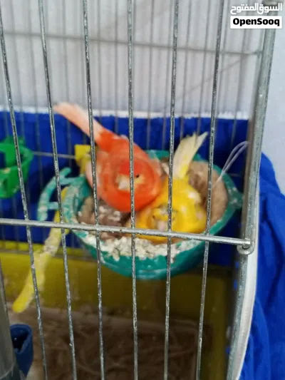 undefined 2