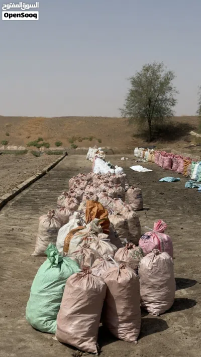 سماد دجاج متوفر بكميات كبيرةةة الجونية ب 400 بيسة 2