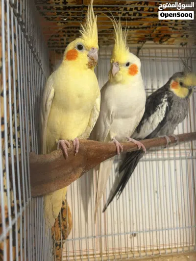 undefined 2