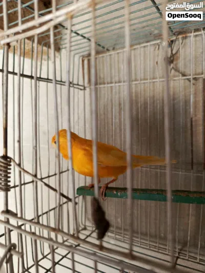 undefined 2