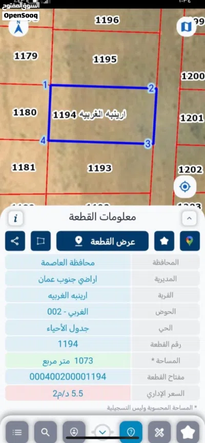 اراضي جنوب عمان الجيزة ارينبه الغربيه 3
