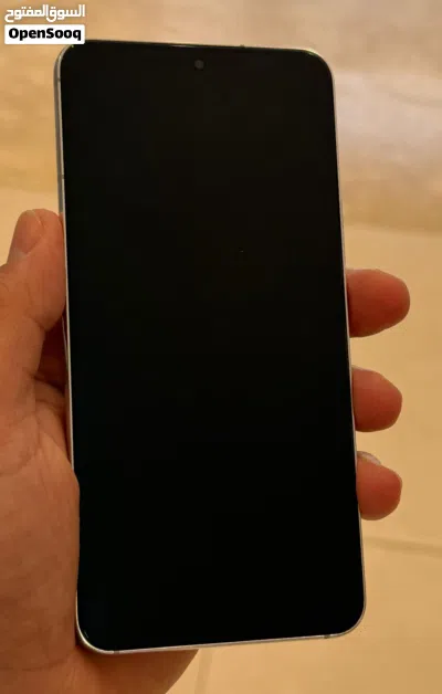 S22 العادي 2