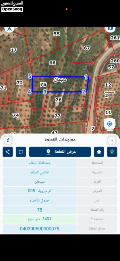 أرض زراعية ذهبية للبيع – العارضة - سيحان - واجهة 30 متر رئيسي كافة الخدمات 2