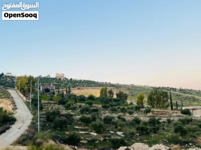 undefined 4
