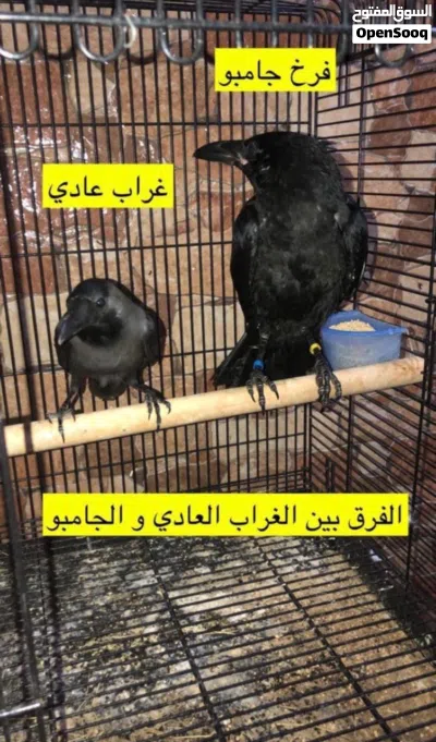 undefined 3