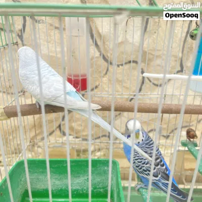 undefined 2