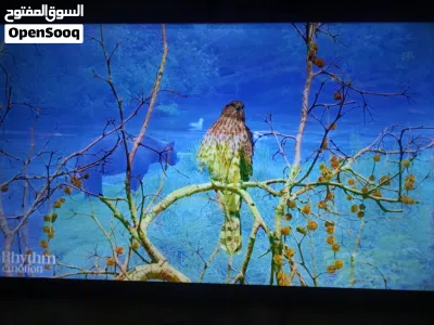 شاشة تلفزيون وانسا 55 بوصة 4