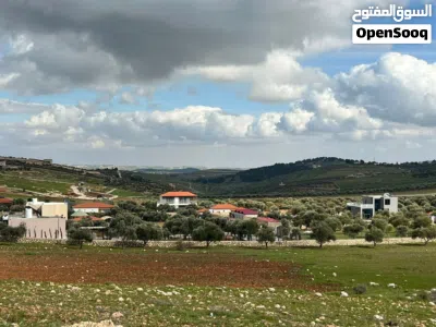 undefined 3