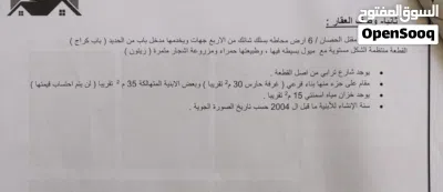 أرض مزروعة مميزة للبيع في جنوب عمان - حوض مقتل الحصان (مساحة 50 دونم) 3