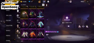 3 evos one maxed stacked 2