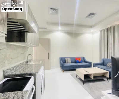 1 BEDROOM FULLY FURNISHED APARTMENT 3