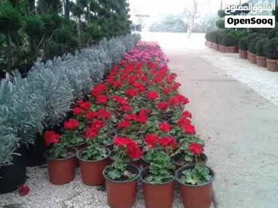 undefined 3