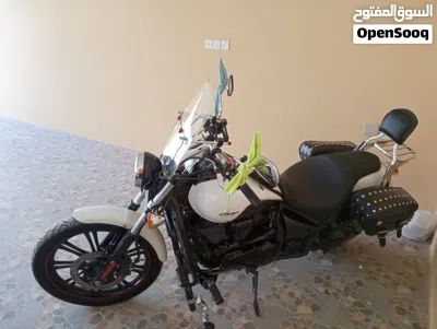 Kawasaki Vulcan 900 2
