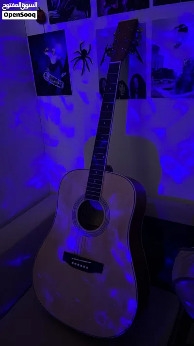 SX Professional Acoustic Guitar for Sale 2