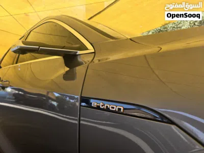 Audi e-tron Standard 4