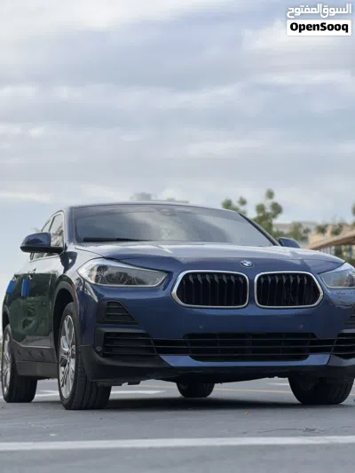 BMW X2 Series X2 sDrive20i 2