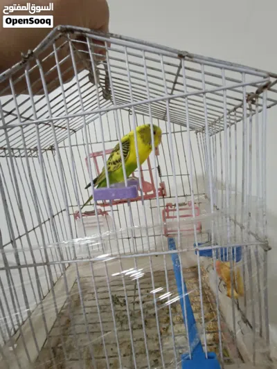 undefined 3