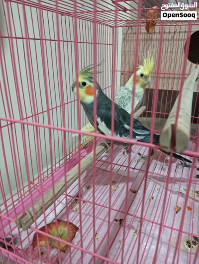 undefined 4