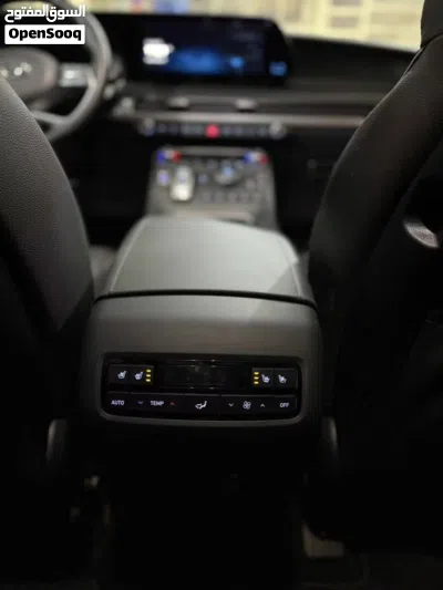 Hyundai Palisade Calligraphy 4