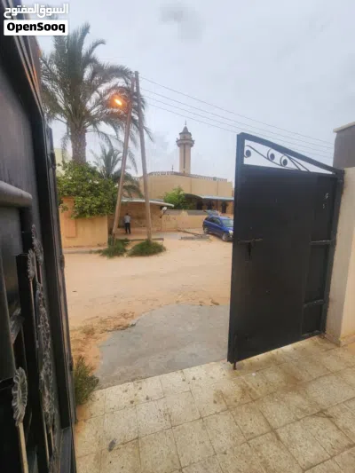 شقه ابن نفيس 4