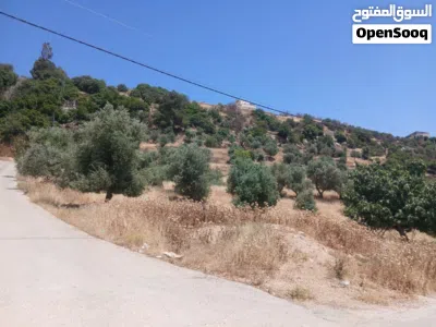 أرض سكني للبيع في ماحص - بموقع مميز 2
