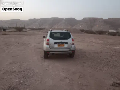 Renault Duster Standard 3