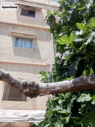 عماره استثماريه للبيع 2