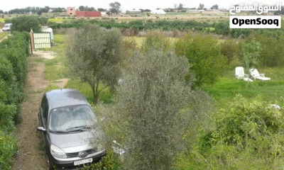 فيرما للبيع للتواصل 3