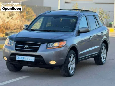 Hyundai Santa Fe GL 3