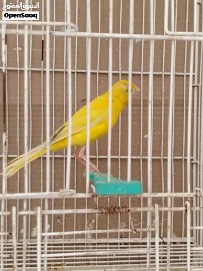 undefined 4