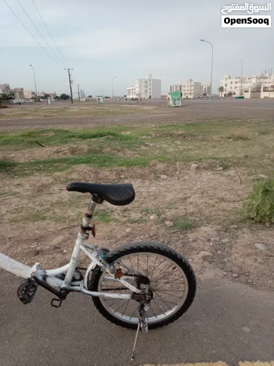 السيكل الامور الطيبه هو ما يسكى عن شيء وقابل للتفاوض 2
