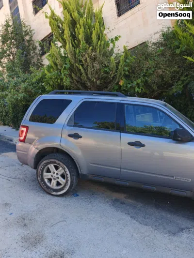 Ford Escape Standard 3