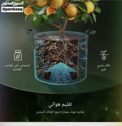 undefined 4