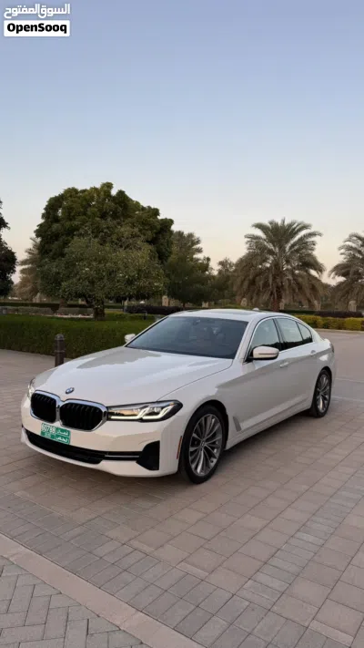 BMW 5 Series 530 3